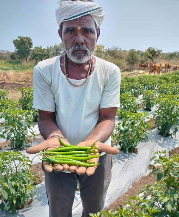 Madhya Pradesh