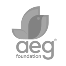 AEG Logo